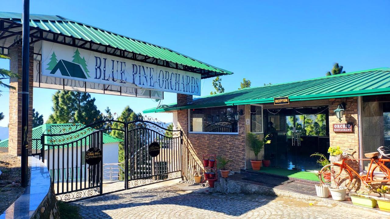 Blue Pine Orchards - Villas Lansdowne Exteriér fotografie